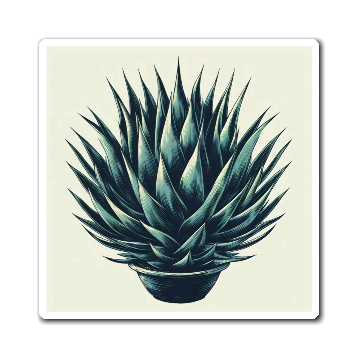 Agave Magnet